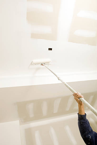 Best Basement Mold Removal  in Greentree, NJ