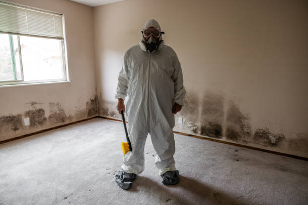 Best HVAC Mold Inspection and Cleaning  in Greentree, NJ